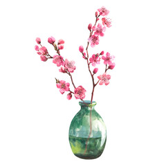 Watercolor illustration of a sakura branch in a transparent vase isolated on a white background.