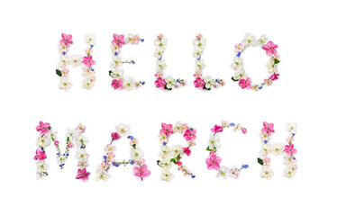 Hello March lettering text from of flowers apple tree and blue wildflowers forget-me-nots on white background. Top view, flat lay