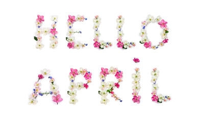 Hello April lettering text from of flowers apple tree and blue wildflowers forget-me-nots on white background. Top view, flat lay