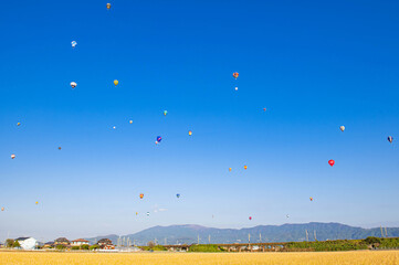 麦畑と快晴の空を飛行する熱気球
