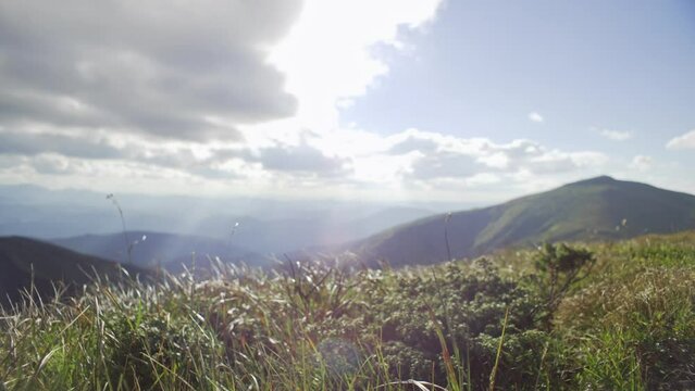 Mountain landscape, alpine meadows, green mountain and grass close-up. Calm mountain weather, sunny. The top of the mountain. Light wind in the mountains. High quality 4k footage