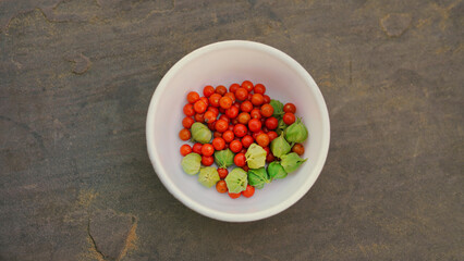 Withania somnifera or ashwagandha leaves and red fruit berries in white cup. winter cherry. healthcare