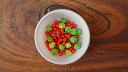 Withania somnifera or ashwagandha leaves and red fruit berries in white cup. winter cherry. healthcare