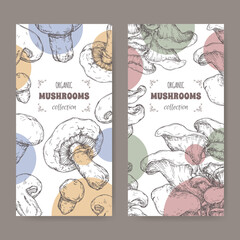 Two labels with Agaricus bisporus aka common mushroom and Pleurotus ostreatus aka oyster mushroom sketch. - 556487350