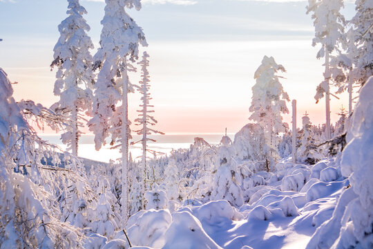 Śnieżny krajobraz © ukasz