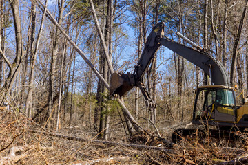In construction site, skid steers were used to clear uprooted trees from land so that subdivision...