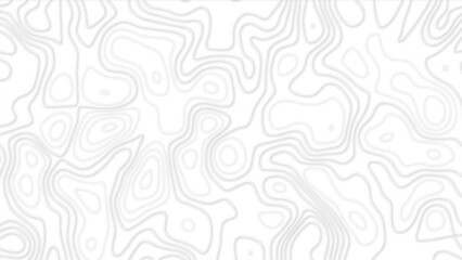 3d Abstract white topography vector background. Line topography map design. The concept of conditional geographical pattern and topography.	