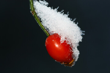 Arrow with snow during winter.