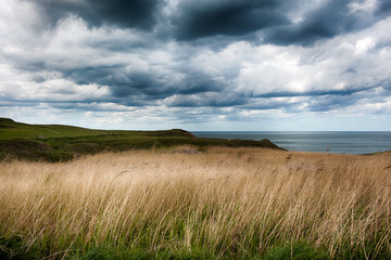 Thornwick Bay Coastline