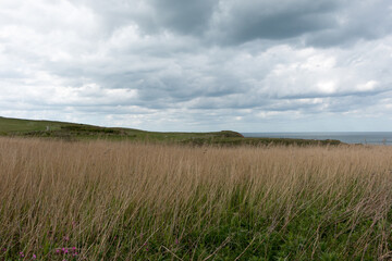 Thornwick Bay Coastline