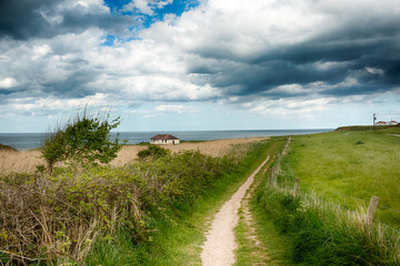 Thornwick Bay Coastline