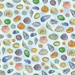 Seamless watercolor pattern with sea shells 