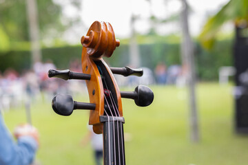 close-up view of the headstock of a cello, a fretted string musical instrument, located outdoors in...