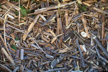 wood chips ground tree branches for mulching garden soil
