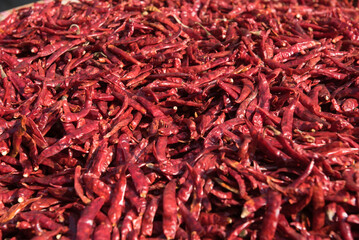 Selective focus of dried red chili background and texture