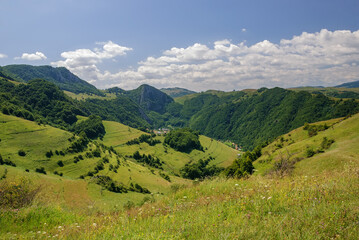 Naklejka premium Idyllic landscape in the Alps with fresh green meadows and blooming flowers and mountain covered with trees in the background. Beautiful alpine summer view. Grassy field, rolling hills. Rural scenery