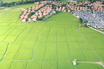 Land, landscape of green field in aerial view. Include agriculture farm, house building, village. That real estate or property. Plot of land to housing subdivision, development, sale or investment.
