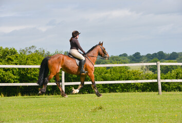 Young female rider schools her bay horse in field in the English countryside on a summers day .