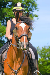 Close up head shot of pretty bay horse being ridden by middle aged woman in English countryside on a summers day.