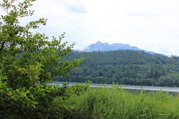Fototapeta na wymiar view of a lake through the trees