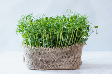 Microgreens