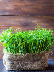 Microgreens