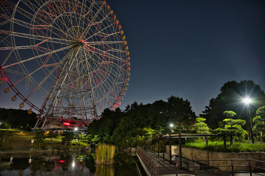 Night view of Kasai Seaside Park, Ferris wheel of the moonlight, Tokyo, Japan 