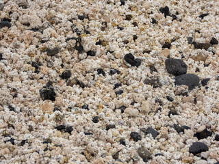 Texture of calcareous formations and volcanic rock