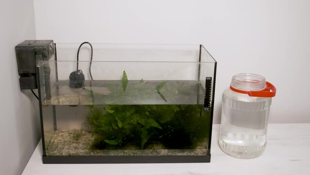 Close up of hands adding water conditioner to water and fill freshwater aquarium. Fish tank maintenance.