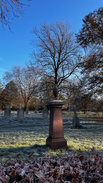 A London cemetery in winter with frosty grounds and blue skies