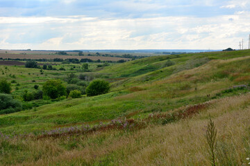 Naklejka premium green valley with rolling hills, bushes and cloudy sky on horizon