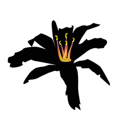 Black flower design concept stock illustration 
