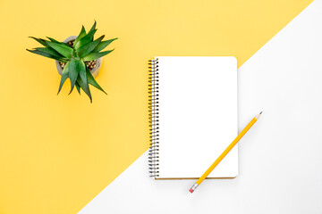 Blank notepad on colored background, flat lay.