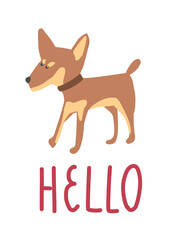 Chihuahua dog with red collar on white background. greetings Hello. Isolated print with tiny dog. Adorable animal for Kid's T-shirt. 