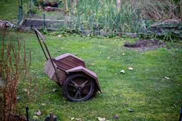 old rusty wheelbarrow on garden lawn