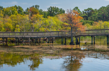 Town of Duck NC, it’s Autumn the 1-mile board walk trail is awash with fall colors reflecting in the blue water of Currituck Sound, beautiful red orange yellow and green. Relaxing blue sky 