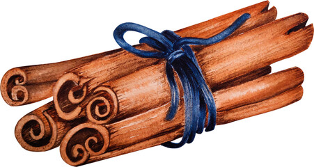 Watercolor Illustration of Bunch of Cinnamon tied with blue rope isolated on transparent background