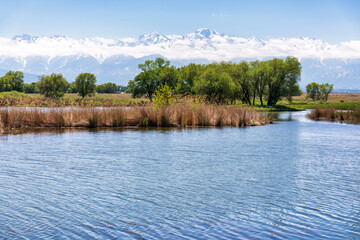 Obraz premium lake in the forest