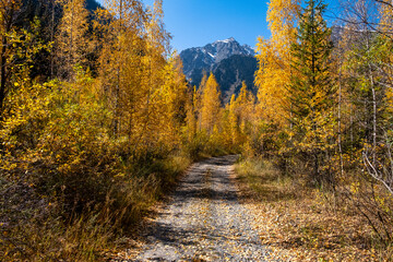 Fototapeta premium autumn landscape in the mountains