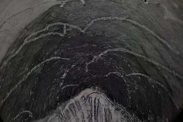 Microscopic view of fish scales © Balaram Mahalder