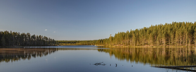 reflection in the lake