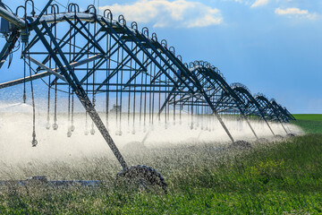 Irrigation Sprinklers, Southern Alberta - obrazy, fototapety, plakaty
