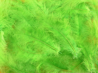 Background - small light green plumes situated irregularly