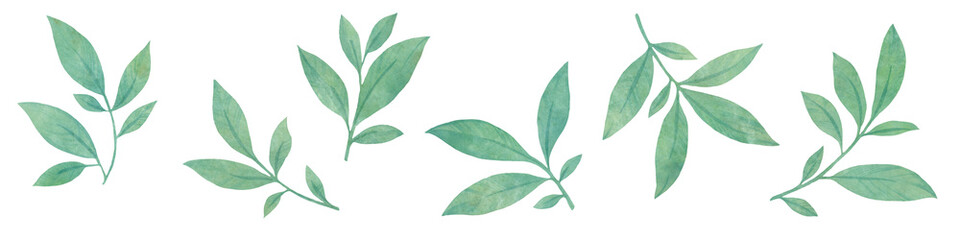 set of watercolor leaves. graceful leaves for design, postcards, invitations, prints. Delicate branches illustration