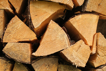 Cross sections of fire wood. Closeup