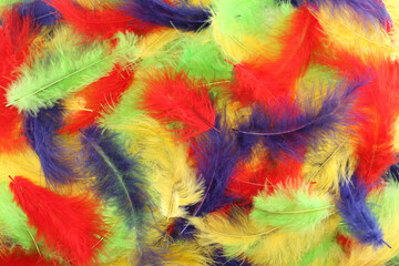 Background - small yellow, red, green and blue plumes situated irregularly