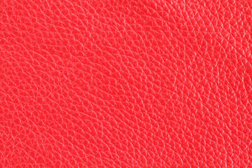 Bright red colored cow leather texture. Closeup