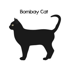 Bombay Cat in flat style. Bombay Cat illustration isolated. Bombay  pet in minimal style. vector illustration