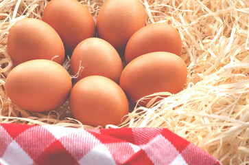 Fresh chicken eggs in a nest next to a checkered napkin