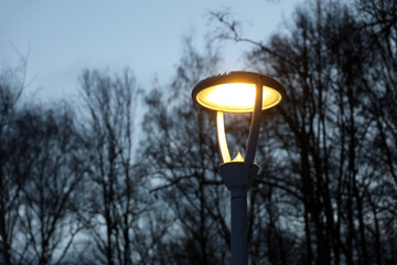 Glowing led lamp on background of bare trees in evening park. Electric lighting, energy-saving street lantern